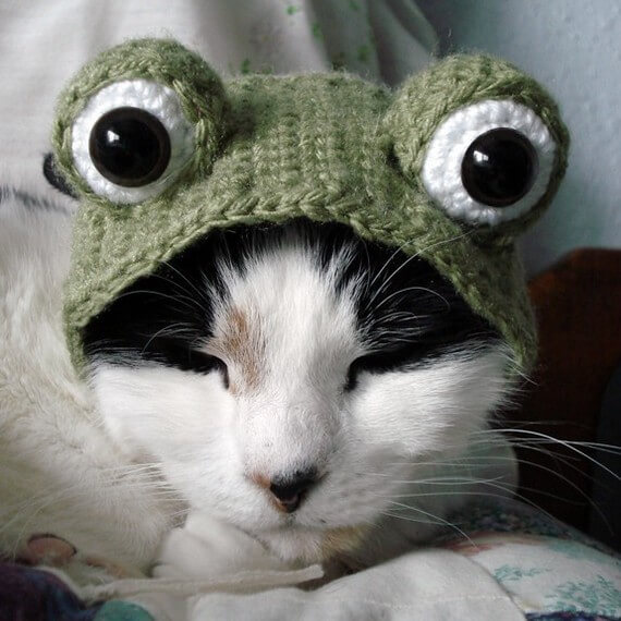 Frog costume pattern for your cat by xmoonbloom